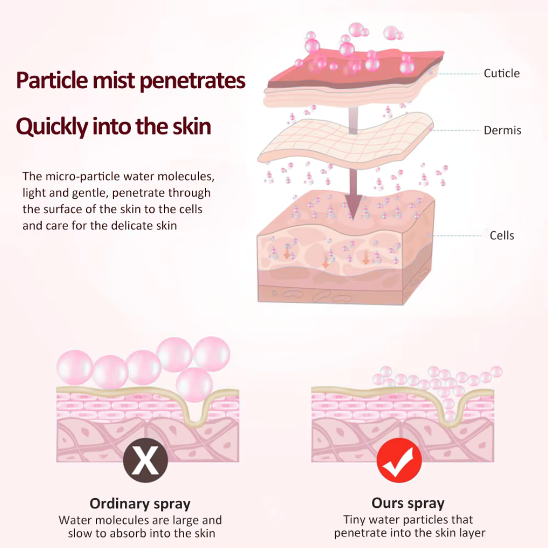 Portable Mini Face Steamer